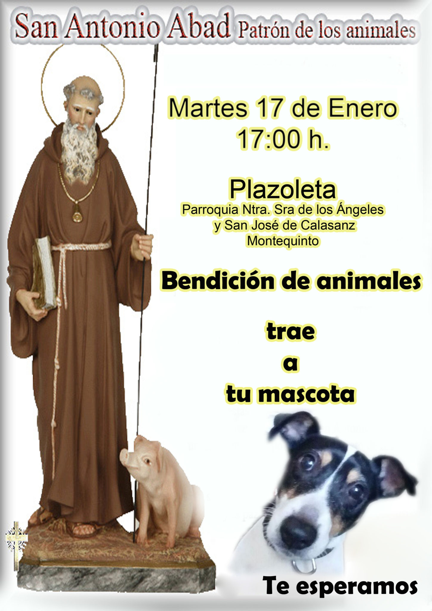 Resultado de imagen de san antón abad bendición de animales